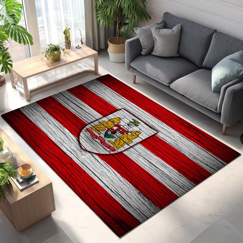 Bristol City FC EFL Championship 11 Rug 2