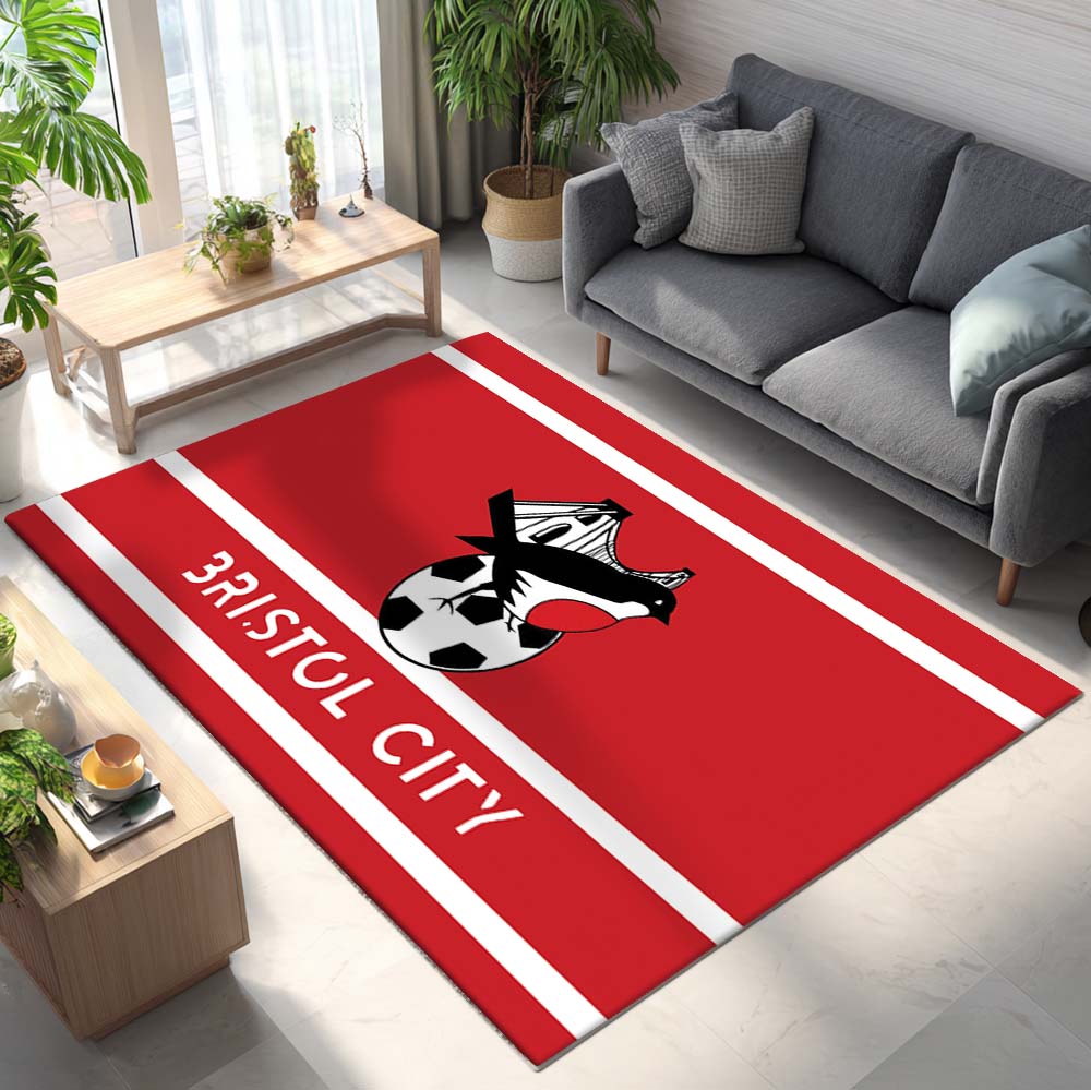 Bristol City FC EFL Championship 17 Rug 2
